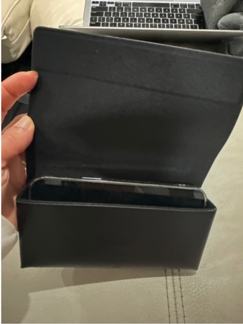 Max Mara clutch case
